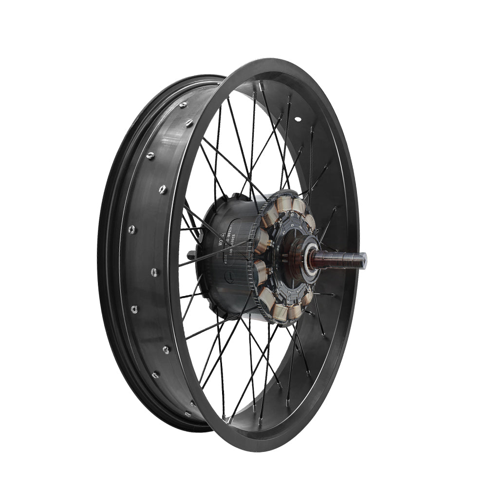 Achterwiel Motor - W1 & W3 Series