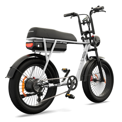 Pinscher W1 series