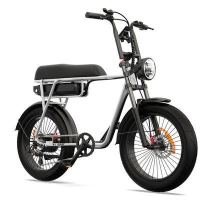 Pinscher W1 series