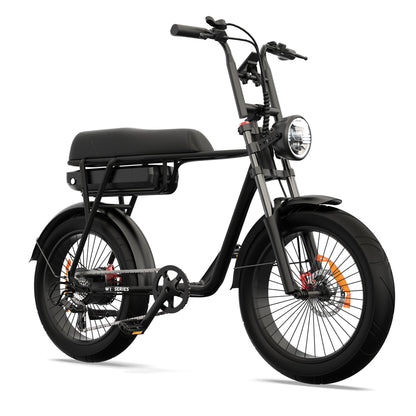 Pinscher W1 series