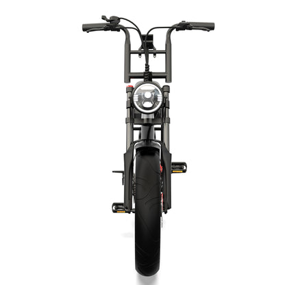 Pinscher W1 series