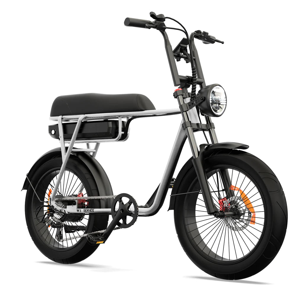 Pinscher W1 series