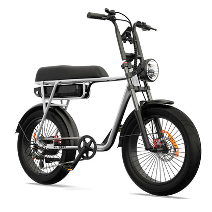 Pinscher W1 series